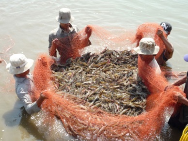 Quy phạm thực hành nuôi trồng thủy sản tốt tại Việt Nam (VietGAP)