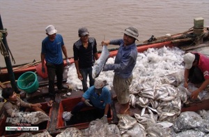 Bạc Liêu: Tăng sản lượng nuôi trồng, khai thác thủy sản