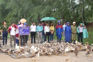 Hướng dẫn nuôi gà, vịt an toàn sinh học