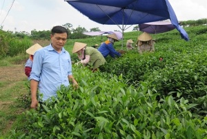 Nghệ nhân Đinh trà Thái Nguyên 