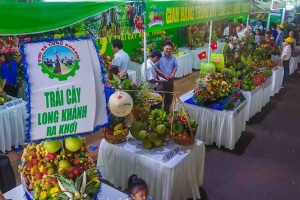 Trái cây Long Khánh tìm cơ hội 