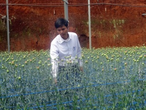 Đáng nể trang trại nông nghiệp thông minh và làm du lịch độc đáo