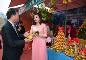 Trao nhãn hiệu tập thể 