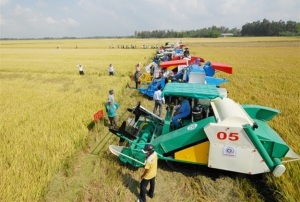 Đồng Tháp: Đổi thay đời sống người dân