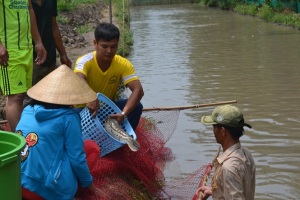 Nhiều mô hình nâng cao thu nhập ở Phụng Hiệp