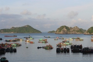 Hải Phòng: Phê duyệt Quy hoạch phát triển thủy sản 