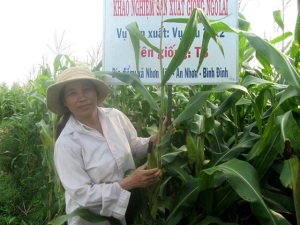 Khoa học - công nghệ vào thực tiễn sản xuất