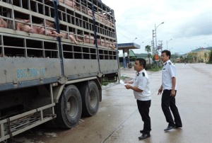 Tiến tới kỷ niệm 50 năm ngày thành lập Cục Thú y:
Lá cờ đầu của ngành thú y ở xứ Lạng
