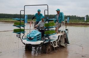 Thanh Oai phát triển nông nghiệp công nghệ cao để xây dựng NTM