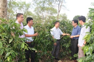 Hà Nội tăng cường hợp tác nông nghiệp với Tây Bắc: Chưa xứng với tiềm năng