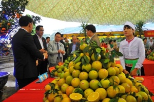 Hội chợ Nông nghiệp - Du lịch - Thương mại vùng Tây Bắc 2016