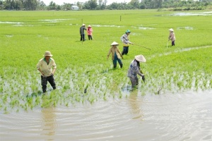 Liên kết, 