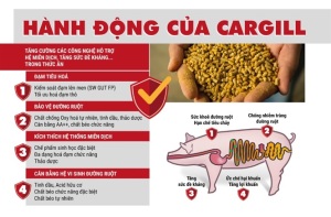 KHUYẾN NÔNG: Những cách đơn giản mà hiệu quả để phòng chống dịch tả lợn châu Phi