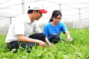 Rau an toàn Havegco quyết không giết chết niềm tin người tiêu dùng