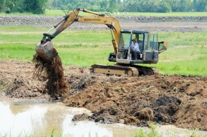 An Giang sản xuất vụ thu đông an toàn