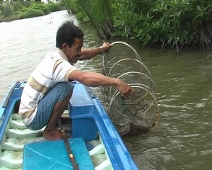 Cánh đồng tôm lớn hướng đến VietGAP