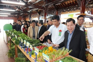 Tập đoàn Quế Lâm với nền nông nghiệp hữu cơ: Chuỗi giá trị sản xuất, kinh doanh nông sản hữu cơ đầu tiên ở Thừa Thiên- Huế
