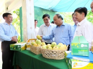 Thủ tướng Chính phủ: Cần học hỏi Đồng Tháp về tái cơ cấu nông nghiệp