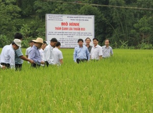 Công nghệ và khuyến nông thúc đẩy sản xuất