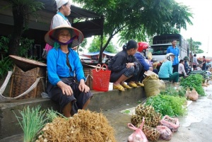 Bao giờ có nền nông nghiệp hữu cơ? - Nhìn lên Ba Vì