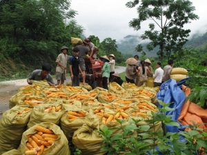 Gắn kết cùng doanh nghiệp nông nghiệp