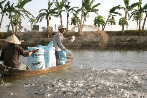 Vi phạm hành chính về lĩnh vực thức ăn chăn nuôi, thủy sản phạt đến 200 triệu đồng