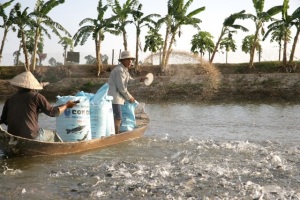 Vi phạm hành chính về lĩnh vực thức ăn chăn nuôi, thủy sản phạt đến 200 triệu đồng