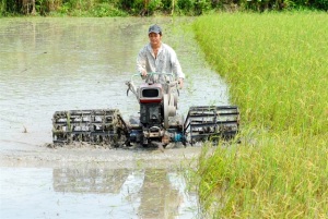 Giảm giá thành, tăng lợi nhuận