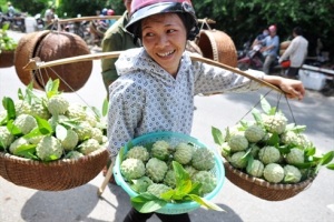 Lạng Sơn đẩy mạnh quảng bá na Chi Lăng