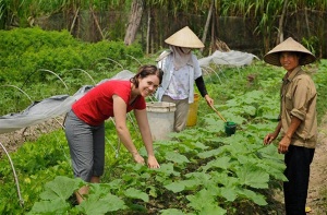 Hà Nội có 50ha rau hữu cơ được chứng nhận