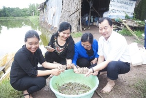 Nuôi tôm trúng tiền tỷ sau hạn, mặn