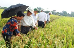 Đẩy mạnh chuyển giao khoa học - công nghệ