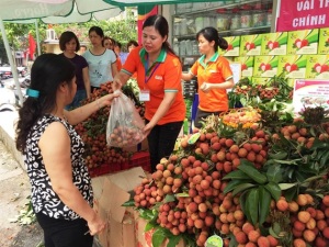 Vải thiều Thanh Hà hấp dẫn người tiêu dùng Hà Nội