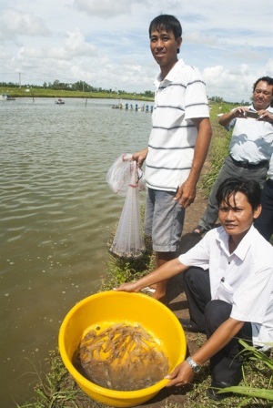 Hợp tác nuôi tôm, lợi nhuận tăng vọt từ 1 tỷ lên 6,75 tỷ đồng