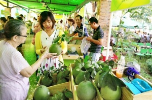 Đưa sản phẩm VietGAP vào trường học
