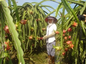 Những bài báo vô tình 