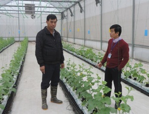 Bắc Ninh đẩy mạnh công tác ATTP, hướng đến sản xuất an toàn