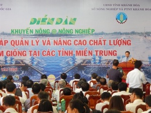 Giải pháp nâng cao hiệu quả nuôi tôm tại các tỉnh miền Trung