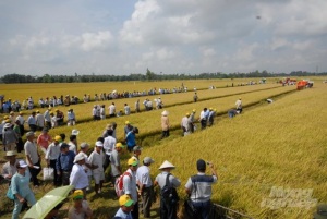 An Giang hướng tới phát triển nông nghiệp hiện đại, bền vững