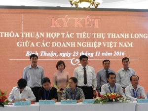 Kết nối xuất khẩu thanh long sang Trung Quốc