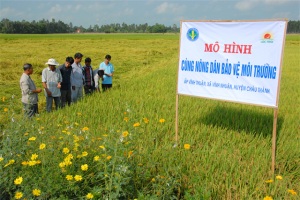 An Giang cùng nông dân bảo vệ môi trường 