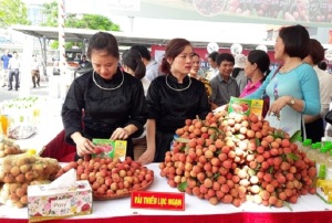 Tuần lễ vải thiều Lục Ngạn - Bắc Giang tại Hà Nội