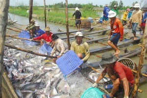 Hai mối lo lớn ngành thủy sản 