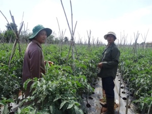 Rào cản lớn nhất với kinh tế tư nhân hiện nay: Vốn tín dụng