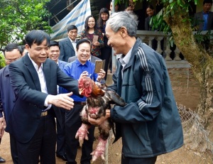 Bộ trưởng Bộ NN-PTNT Nguyễn Xuân Cường:
Hưng Yên cần phát triển nền nông nghiệp mang đặc trưng đô thị