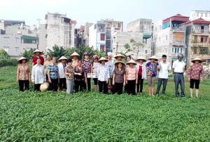 Giám sát rau an toàn từ gốc