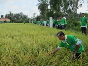 Tôn vinh người nông dân mới 