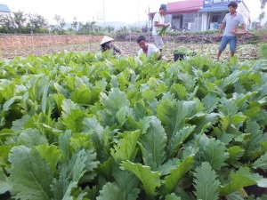 Nhân lực đang là khâu yếu nhất