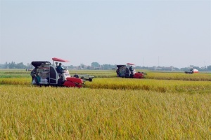 Yên Khánh, miền quê đáng sống