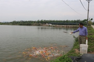 Hải Phòng hướng tới nuôi thủy sản kỹ thuật cao